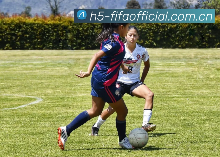 FIFA 官方数据授权认证